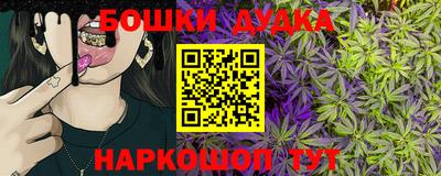 индика Аша